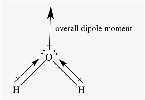 Download In The Case Of Water, The Two Bond Dipoles Arrows Are - Hcn ...