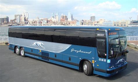 First Group drives on with Greyhound bus sell-off as shares rise by 2.7% | This is Money