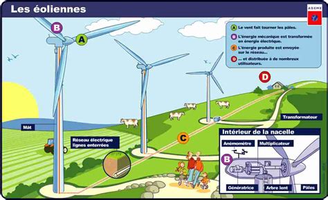 Energie éolienne : principe et impacts sur l'environnement