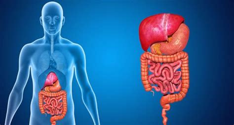 7 Signs You Need to See a Gastroenterologist | Dr. Vatsal Mehta