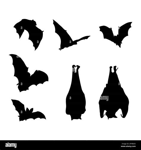 Bats silhouette collection, Halloween Stock Vector Image & Art - Alamy