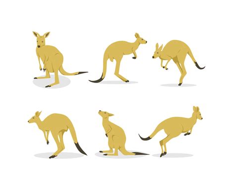 Kangaroo Illustration Vector Vector Art & Graphics | freevector.com