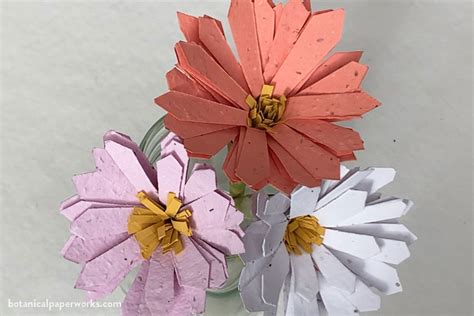 {tutorial} DIY Seed Paper Flowers - Botanical PaperWorks