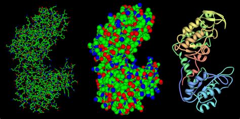 AlphaFold2: A New Generation of Protein Structure Prediction – Eureka