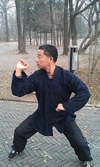 baji quan kung fu - Taizu Tradition Martial arts School