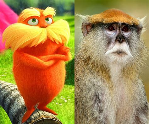 The Lorax Real Life Inspiration an African Monkey, Researchers Say ...