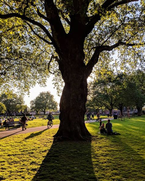 Parks And Gardens In London: 111 Gorgeously Green Spots To Visit