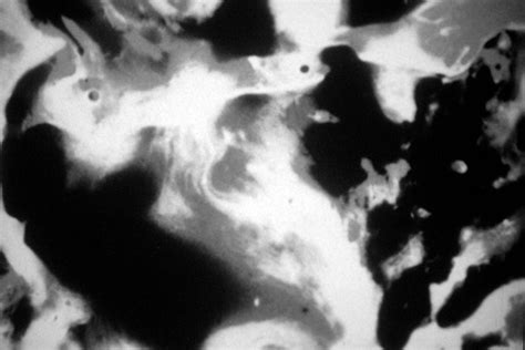 CLOSE-UP | Re-membering the Lost Ones in the Films of Stan Brakhage