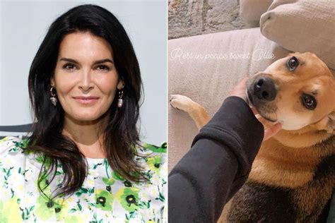 Angie Harmon Says Instacart Driver Shot and Killed Her Dog During Delivery