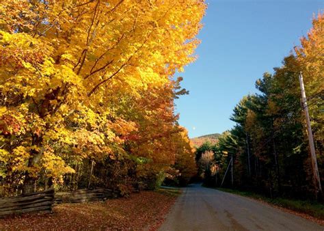 Fall Hiking in Green Mountain National Forest | Sierra Club Outings