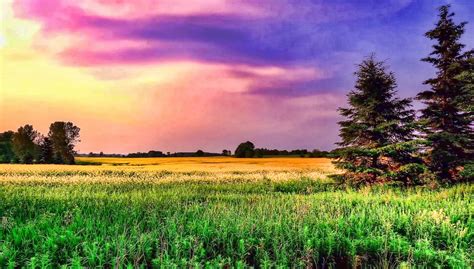 Dusk Color sky with grassy field image - Free stock photo - Public Domain photo - CC0 Images