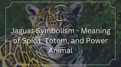 Jaguar Symbolism - Meaning of Spirit, Totem, and Power Animal ...