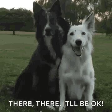 Dog Hug GIF - Dog Hug Bff - Discover & Share GIFs | Dogs hugging, Dogs ...