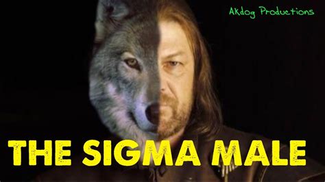 The Lone Wolf of the Sigma Male. The Most mysterious sign of them all! What Is a sigma male ...