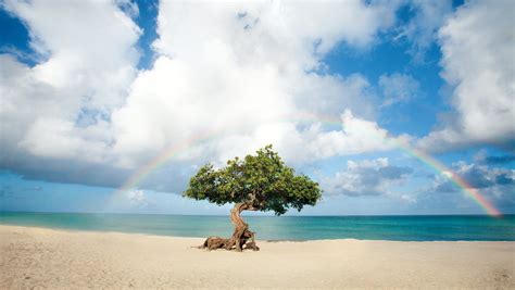 (Photo: Aruba Department of Tourism)