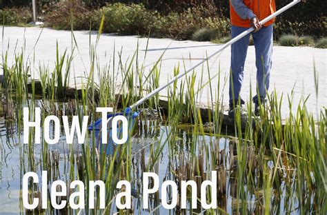 How to Clean a Pond - DripWorks