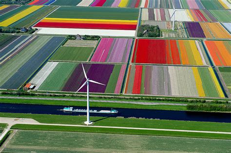 Aerial Photos Of Dutch Tulips In Bloom Look Like Earth In Pixels | DeMilked