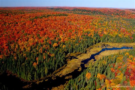 Algonquin park, Park falls, Fall colors