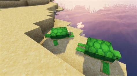 A Quick Guide On How To Breed Turtles In Minecraft