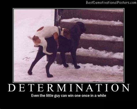 Determination - Dogs - Motivational Poster