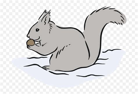 Cartoon Of Squirrel Eating Acorns - Eastern Gray Squirrel Clipart Png ...