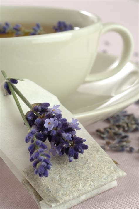 LAVENDER TEA - Lavender Tea Recipe