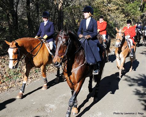 The side-saddle sisterhood - Nancy Jaffer - Equestrian Sports