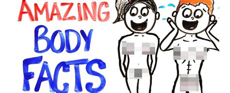 Watch: Mind-Blowing Facts About Your Body : ScienceAlert