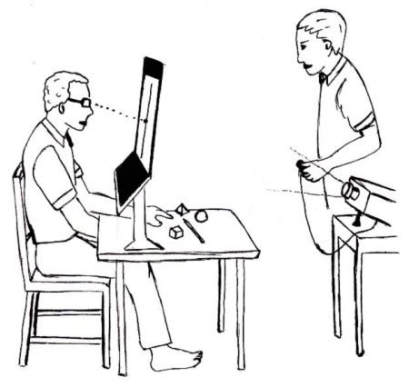 Severed Corpus Callosum | Split Brain Experiments & Studies | Study.com