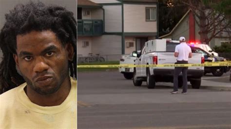 Mass stabbing at Idaho apartment complex leaves 9 injured, suspect in ...