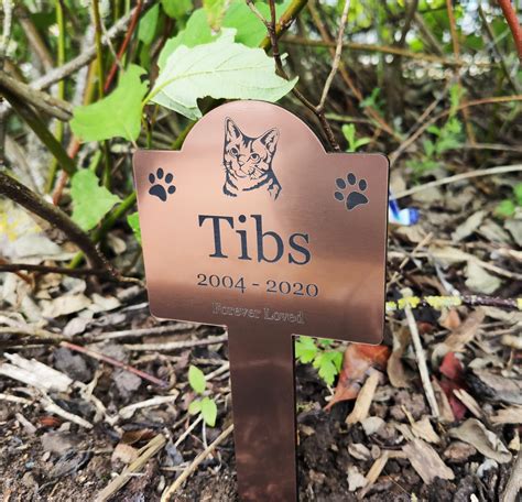 Personalised Pet Cat Memorial Stake Grave Marker Outdoor | Etsy