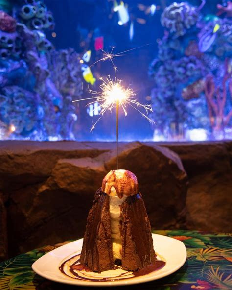 Rainforest Cafe on Twitter: "Volcano > Birthday Cake Like this if you ...