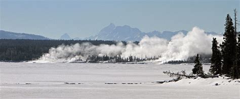 Winter Ecology - Yellowstone National Park (U.S. National Park Service)