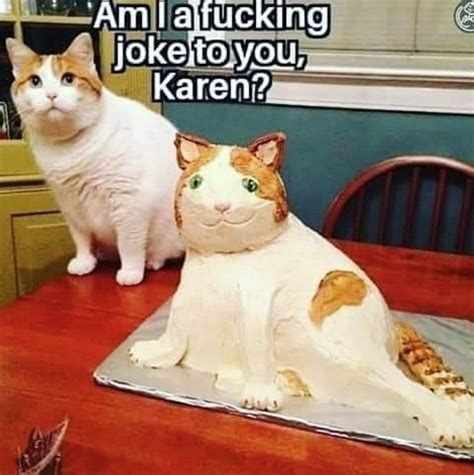 best karen memes cat - Arielle Cisneros