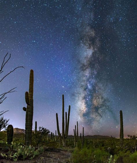 Saguaro National Park Tucson | Saguaro, National parks, Astronomy pictures