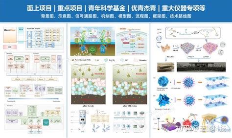 青年基金/面上项目/国自然基金申请分享：不能忽略的配图！！ - 知乎