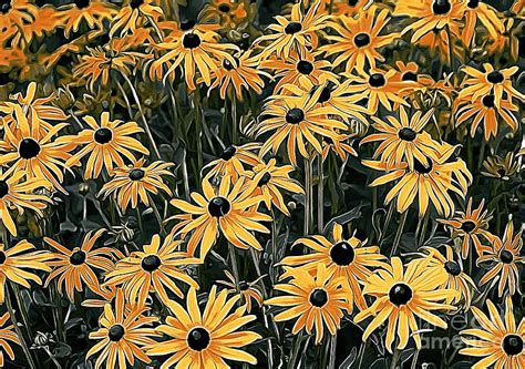 Yellow Coneflowers Photograph by Erica Hanel - Fine Art America