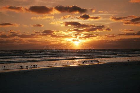 Florida Sunset stock photo. Image of surf, quiet, beauty - 1830424