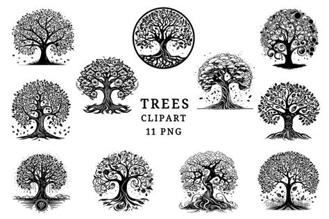 Tree of life black print silhouette clipart set, bundle png