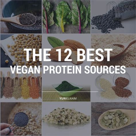 The Definitive Guide to the 12 Best Vegan Protein Sources | Yuri Elkaim