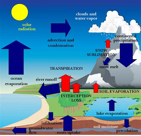 1: Schematic overview of the global hydrological cycle. The different... | Download Scientific ...