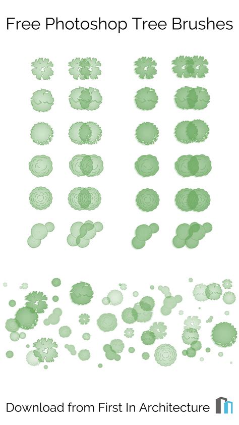 Free Photoshop Tree Plan Brushes Set 3