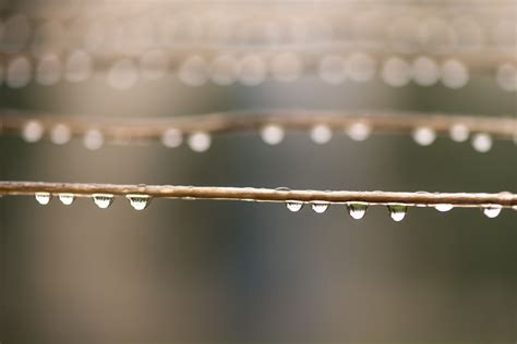 After The Rain Free Stock Photo - Public Domain Pictures
