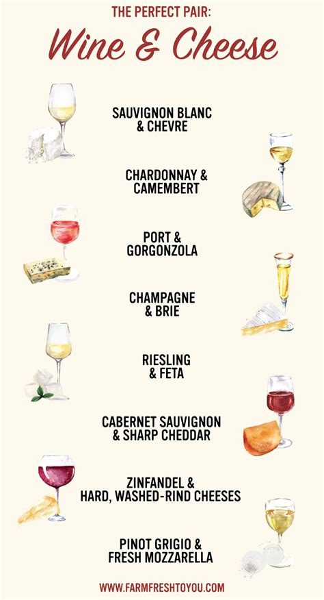 Wine and Cheese: The Perfect Pair | Wine cheese pairing, Wine and cheese party, Cheese pairings