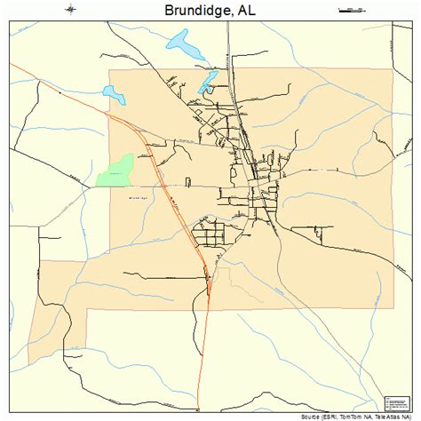 Brundidge Alabama Street Map 0110240