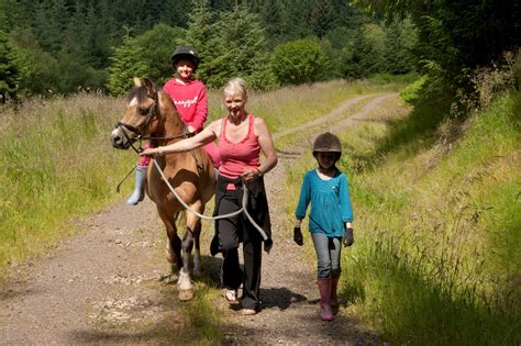 Grizedale Forest | Attractions | Lake District Hotels Association