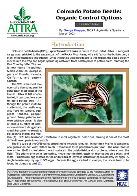 Colorado Potato Beetle: Organic Control Options – ATTRA – Sustainable Agriculture