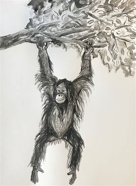 Orangutan Drawing Orangutan Hanging From Tree Orangutan | Etsy