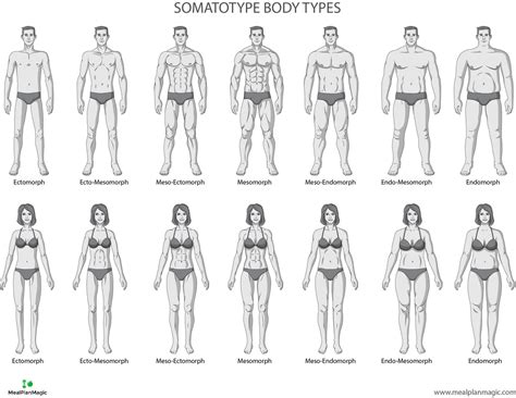 How to Measure Your Body for Clothing Sizes - with size charts included