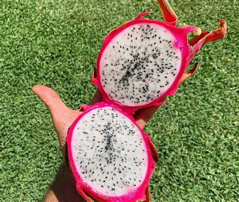 Red dragon fruit - Edfresh USA